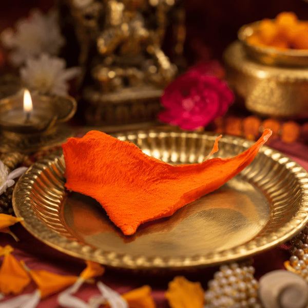 Siddh Billi Ki Jer | सिद्ध बिल्ली की – Rare Spiritual Ritual Item