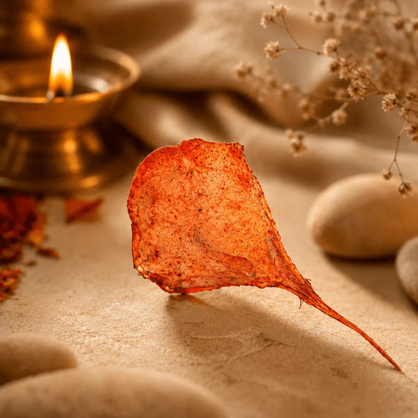 Siddh Billi Ki Jer | सिद्ध बिल्ली की – Rare Spiritual Ritual Item
