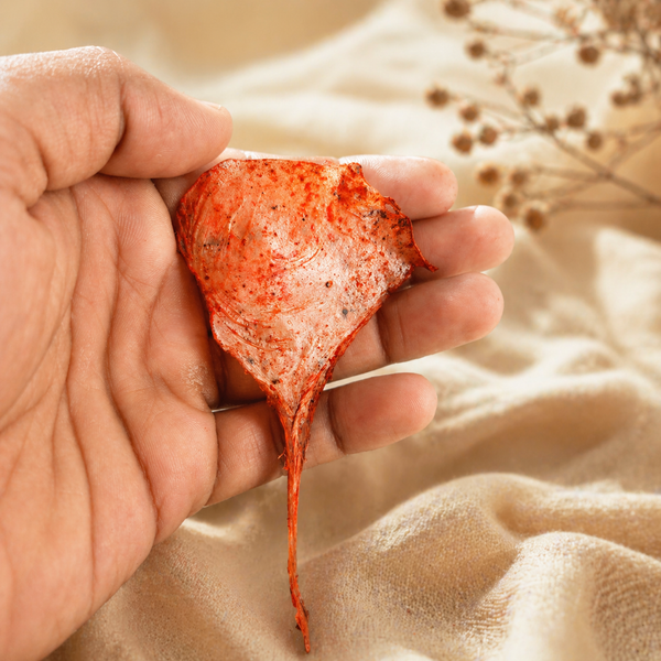 Siddh Billi Ki Jer | सिद्ध बिल्ली की – Rare Spiritual Ritual Item