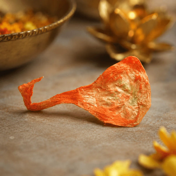 Siddh Billi Ki Jer | सिद्ध बिल्ली की – Rare Spiritual Ritual Item
